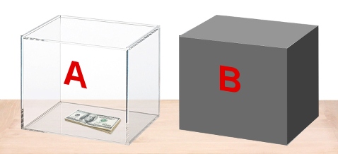 The two boxes of Newcomb's Paradox